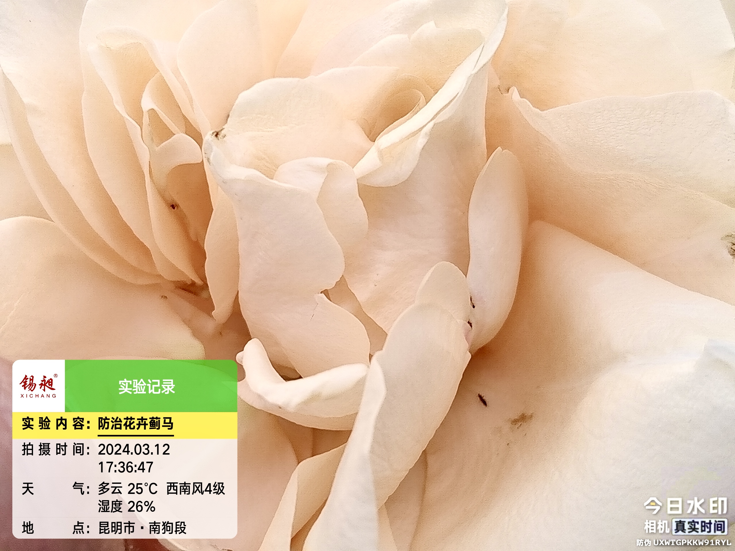 微信图片_20260728094144_6_2.jpg